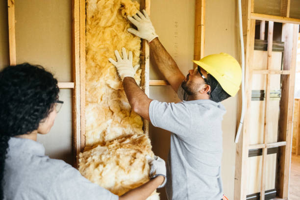 Best Batt and Roll Insulation  in Knoxvle, IL